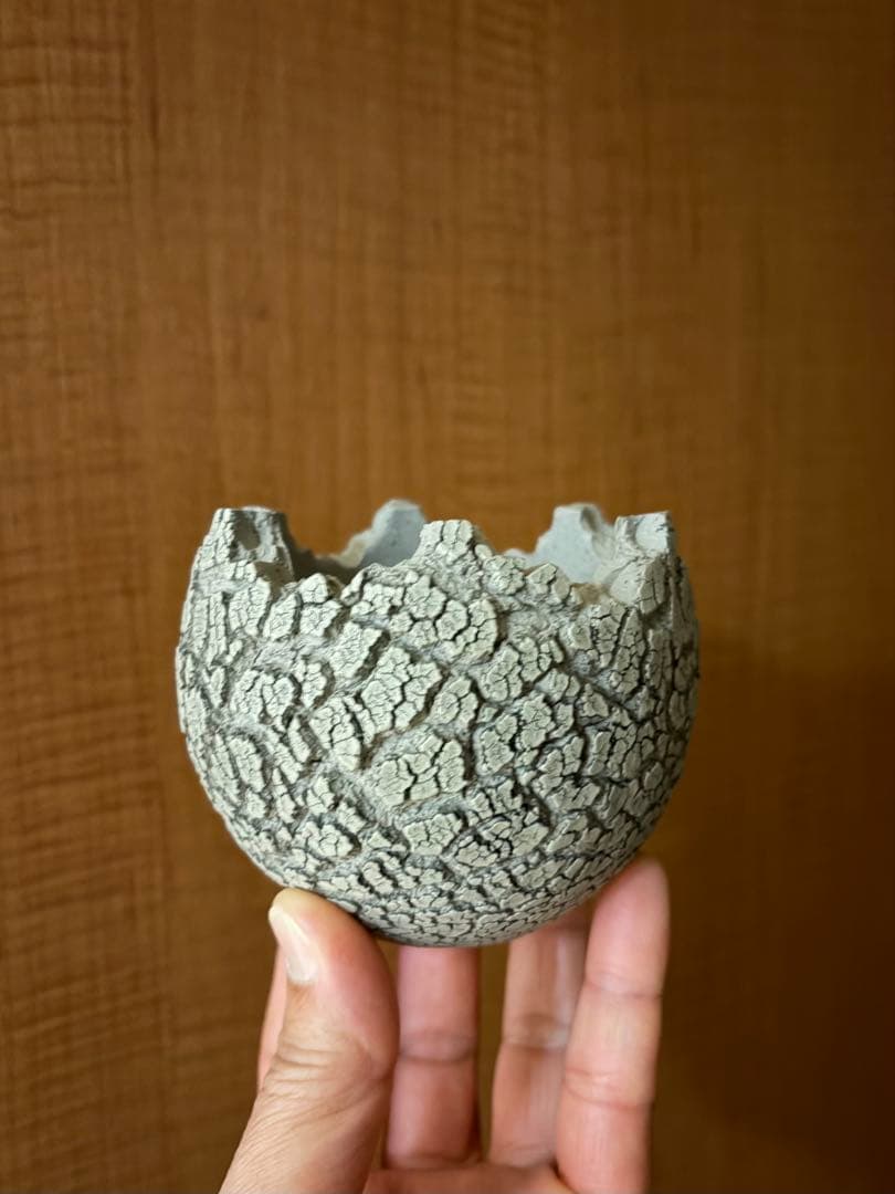 konect ＊fang (コネクト ファング) 鉢