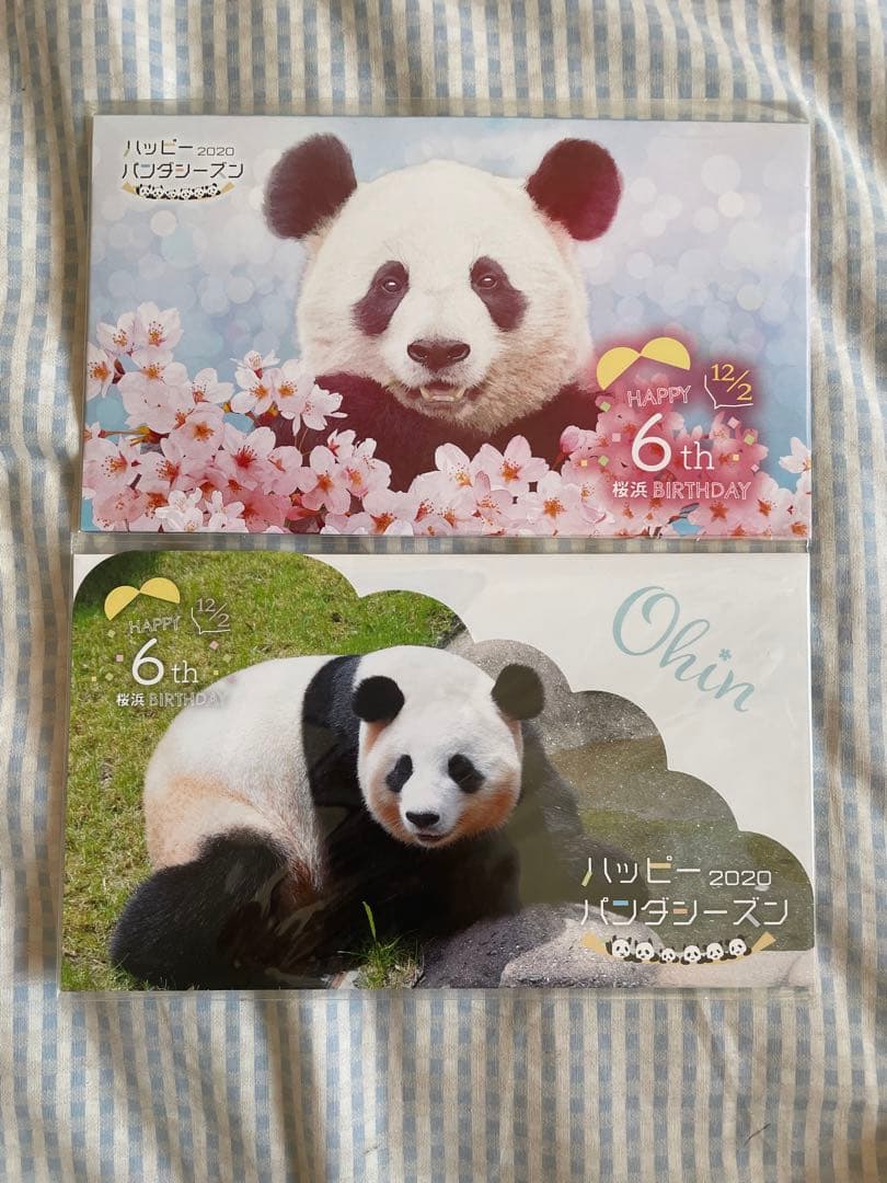 アドベンチャーワールド パンダ マスクケース4枚セット 桜浜 桃浜