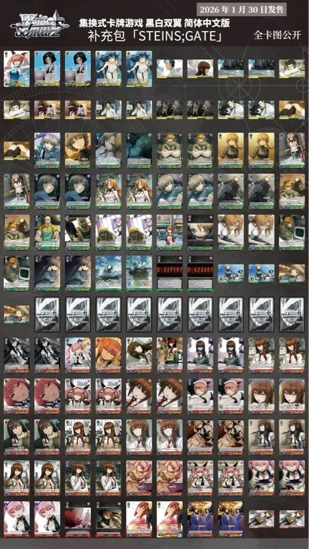 ヴァイス STEINS;GATE 中国版 簡体中文 1カートン - メルカリ