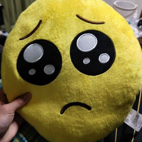 妹がもらってきた思い出の品