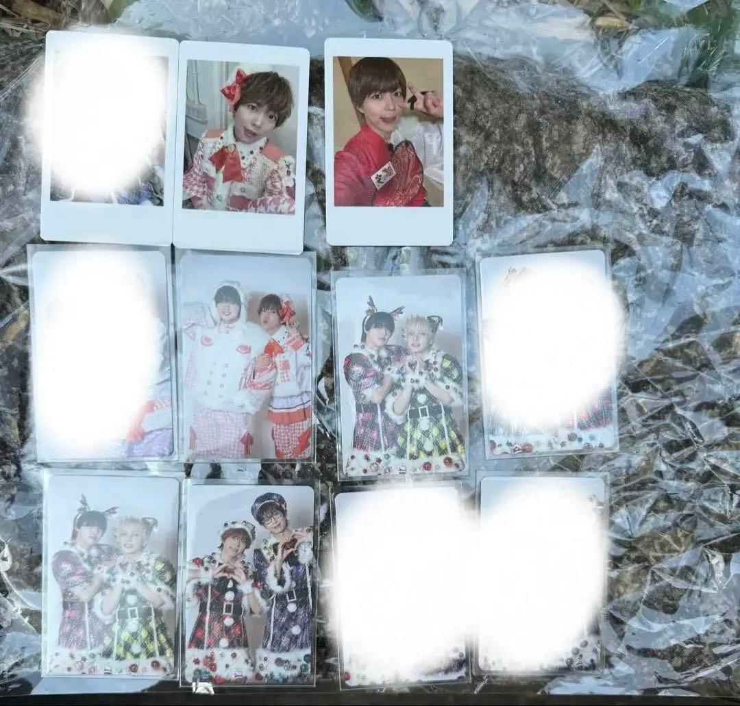 パンダドラゴン ハピカ 日本武道館 - メルカリ