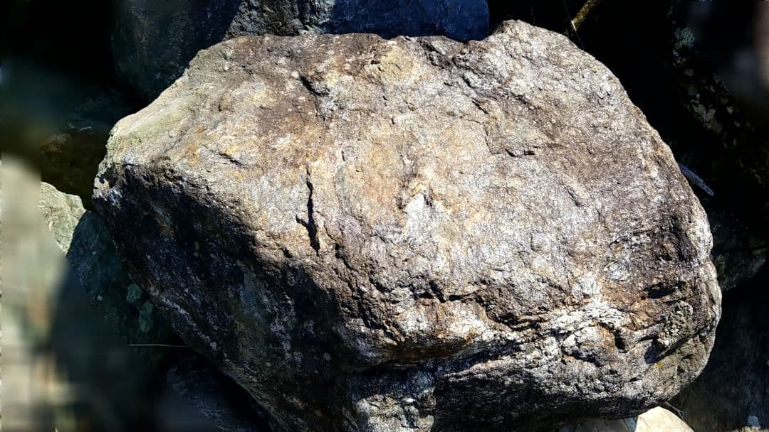 希少原石　大型　結晶片岩　シスト　庭石　ロックガーデン　ガーデニング　鉱物　原石 溶岩石 庭石 黒 庭 石 自然石 ロックガーデン ガーデニング ドライ