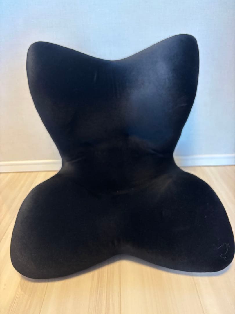 Style PREMIUM DX スタイルプレミアム デラックス