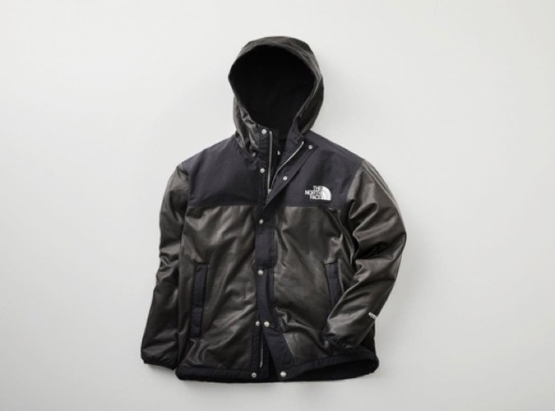 THE NORTH FACE GTX PAMIR パミールジャケット　XL