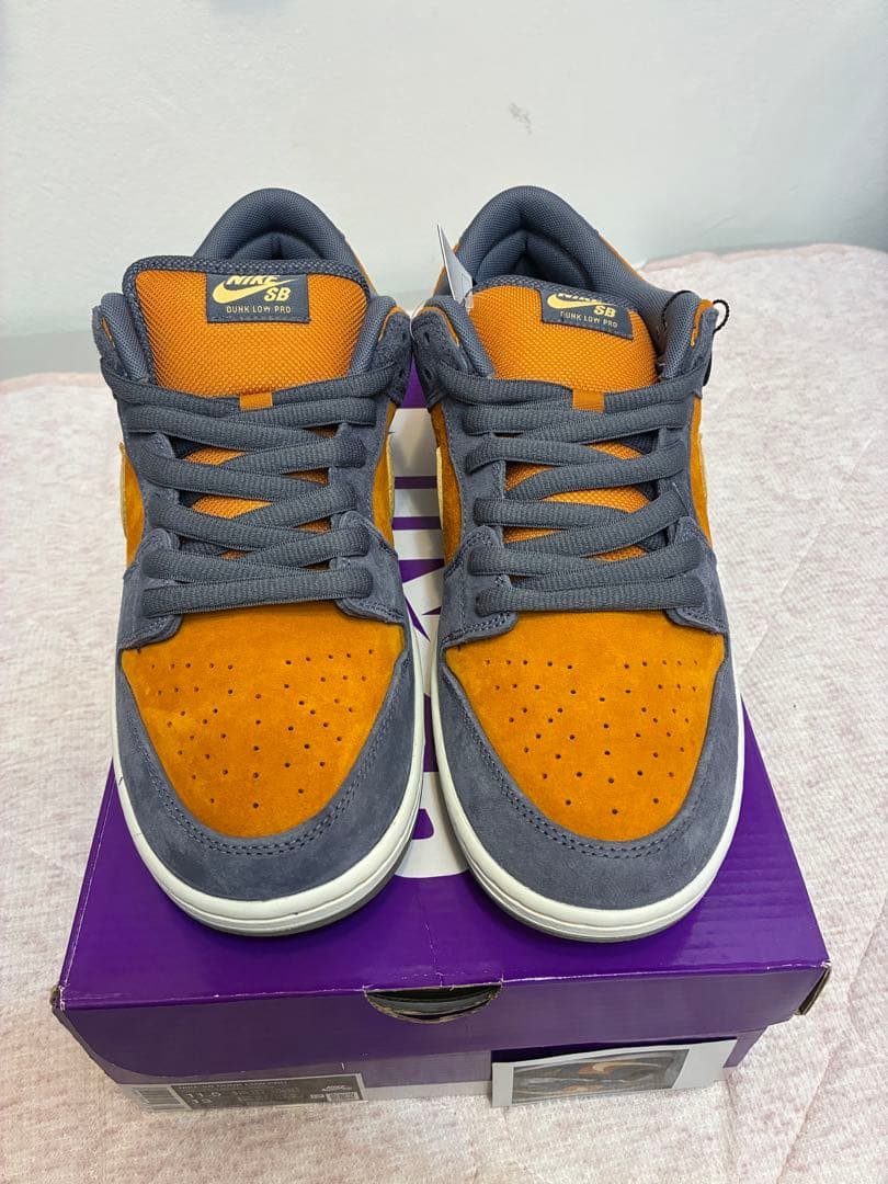 靴 NIKE sb dunk low pro