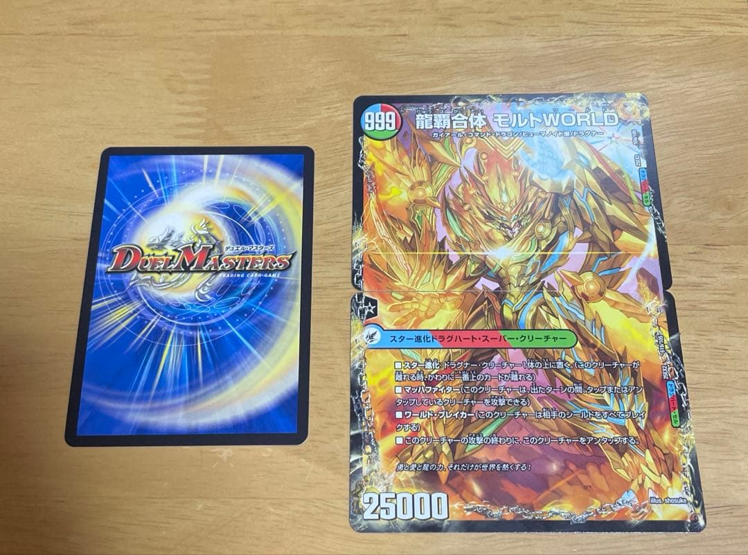 双龍覇王モルトVERSUS ダブルはおうもるとバーサス おまけ付き