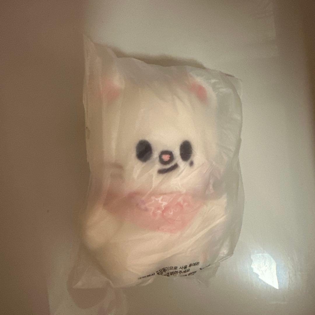 Stray Kidsぬいぐるみバンチャンチャンビンヒョンジンフィリックス