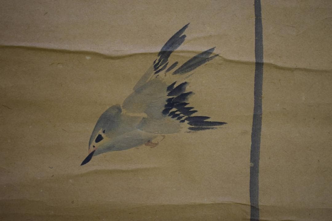 /文晁/梅に小禽図/花鳥/花/布袋屋掛軸HK-23