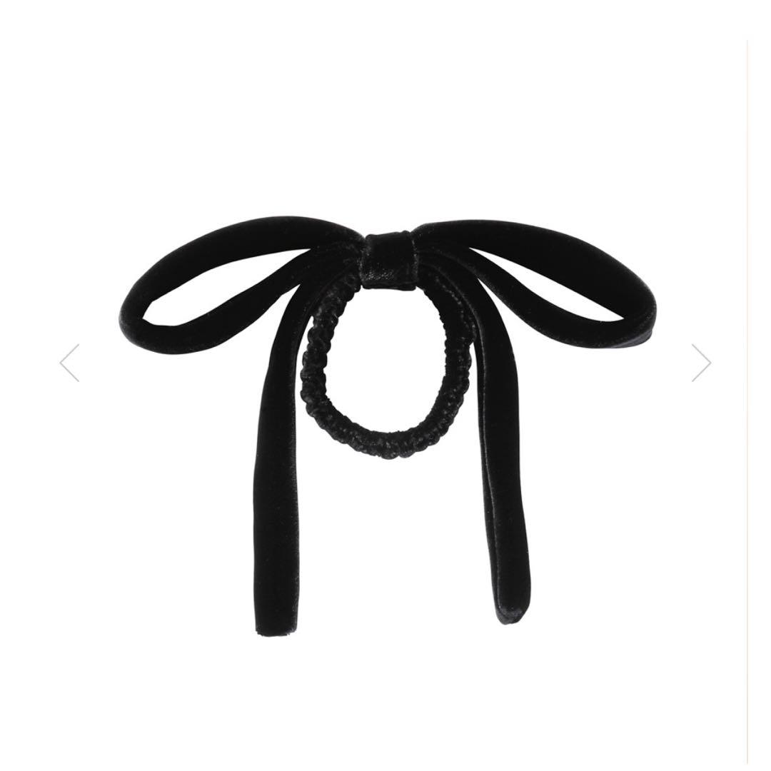 アレクサンドルドゥパリ　ベロアリボンポニー