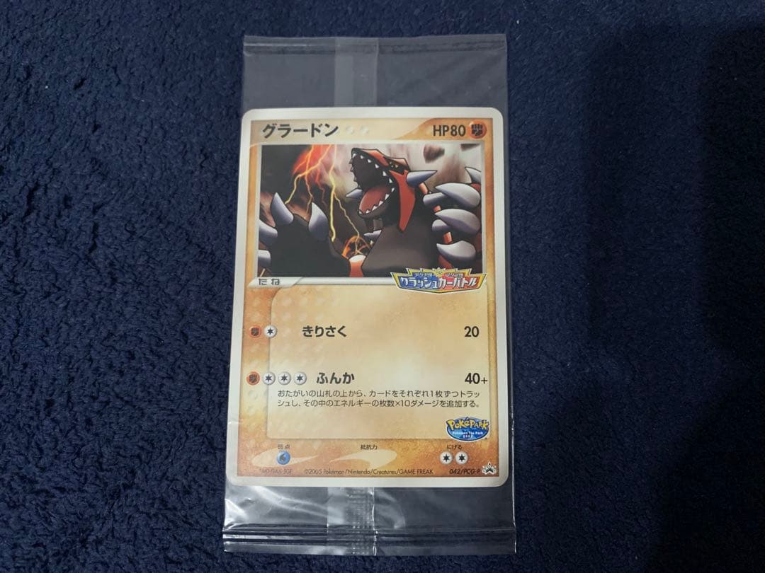 ポケパーク グラードン プロモ 042/PCG-P ポケモンカード 未開封
