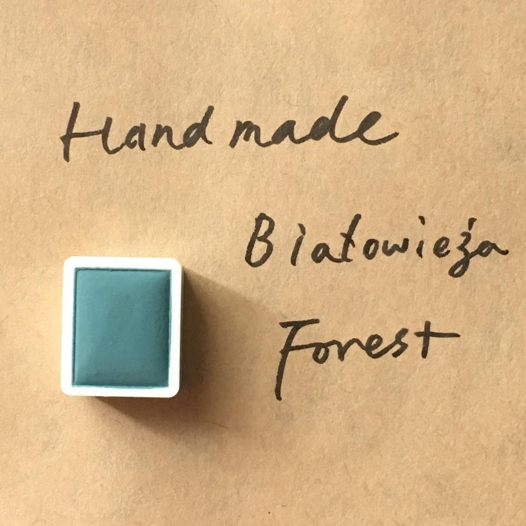 Białowieża Forest Białowieża Forest as a UNESCO World Heritage Site – Комиссия