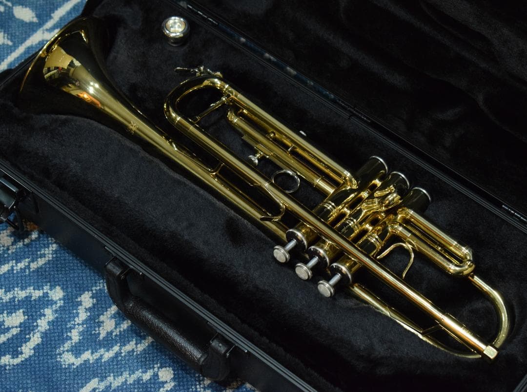 Bach TR Series TR-600 GL 状態良好 ハードケース付属