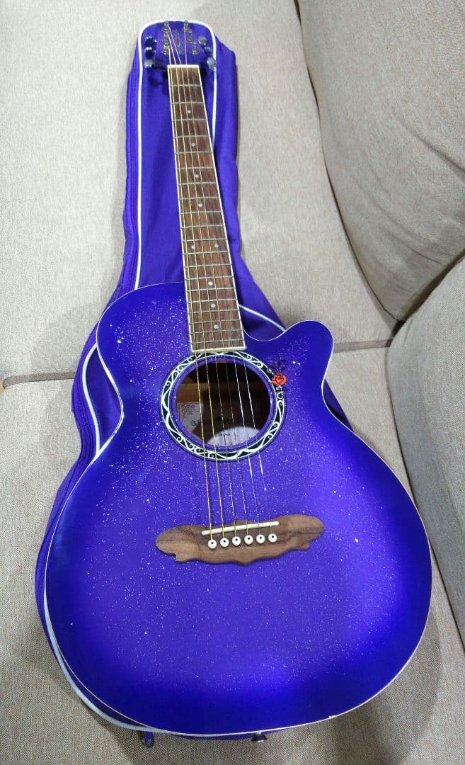 GYPSY ROSE 　ジプシーローズ　ギター　GRA1K/CPP　ケース付き