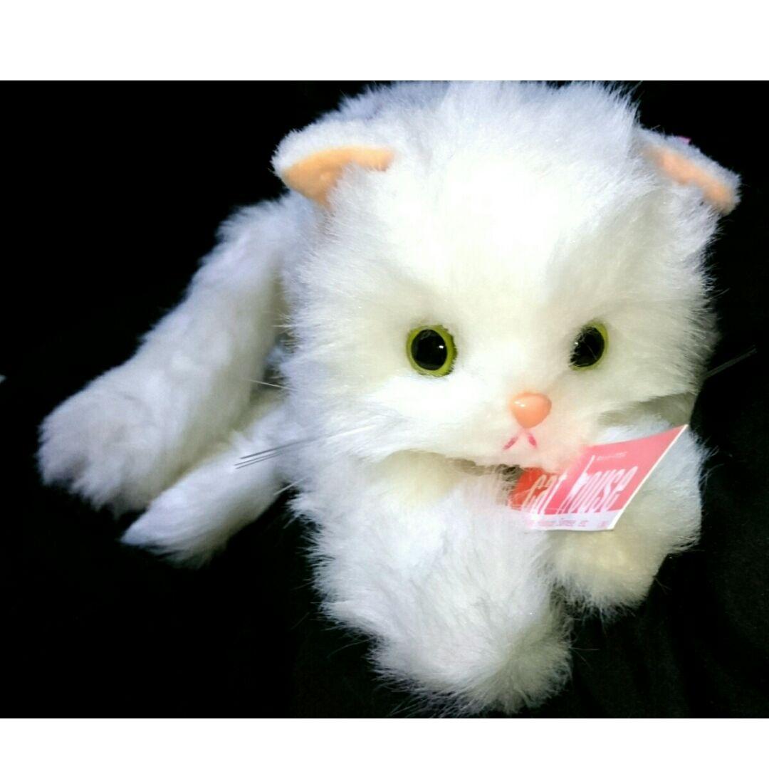 激レア 新品 70cm 白猫 ねこ ネコ オオイケ ペルシャ ぬいぐるみ