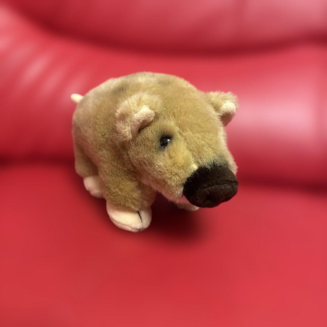 レトロ　ぬいぐるみの山英　イノシシ(うり坊)　ぬいぐるみ CUTE キュート販売 ぬいぐるみ どうぶつえんコレクション うり坊 SS
