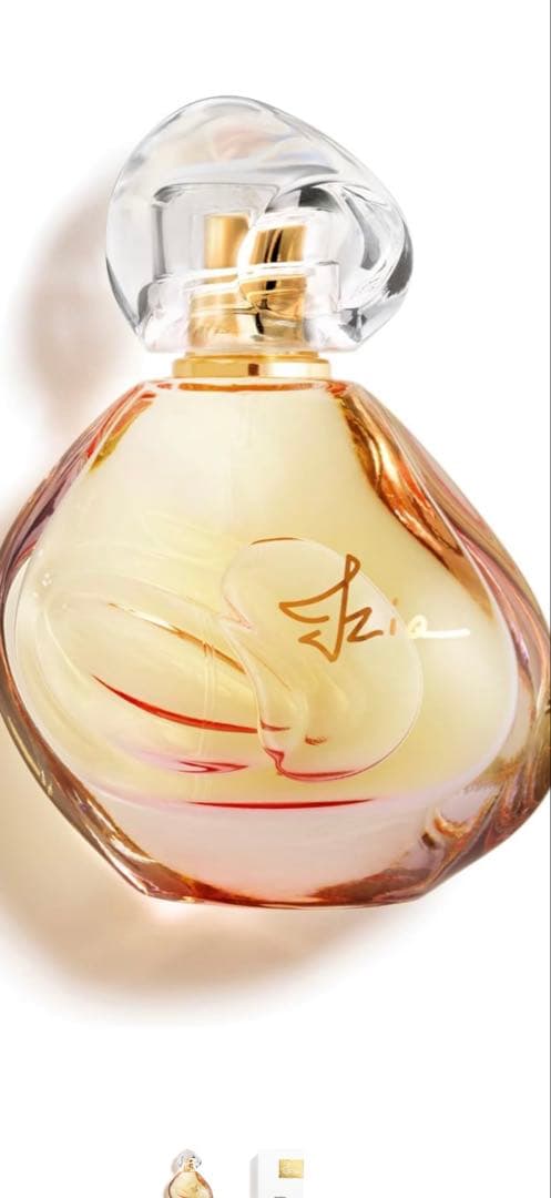 ブランド SISLEY(シスレー)