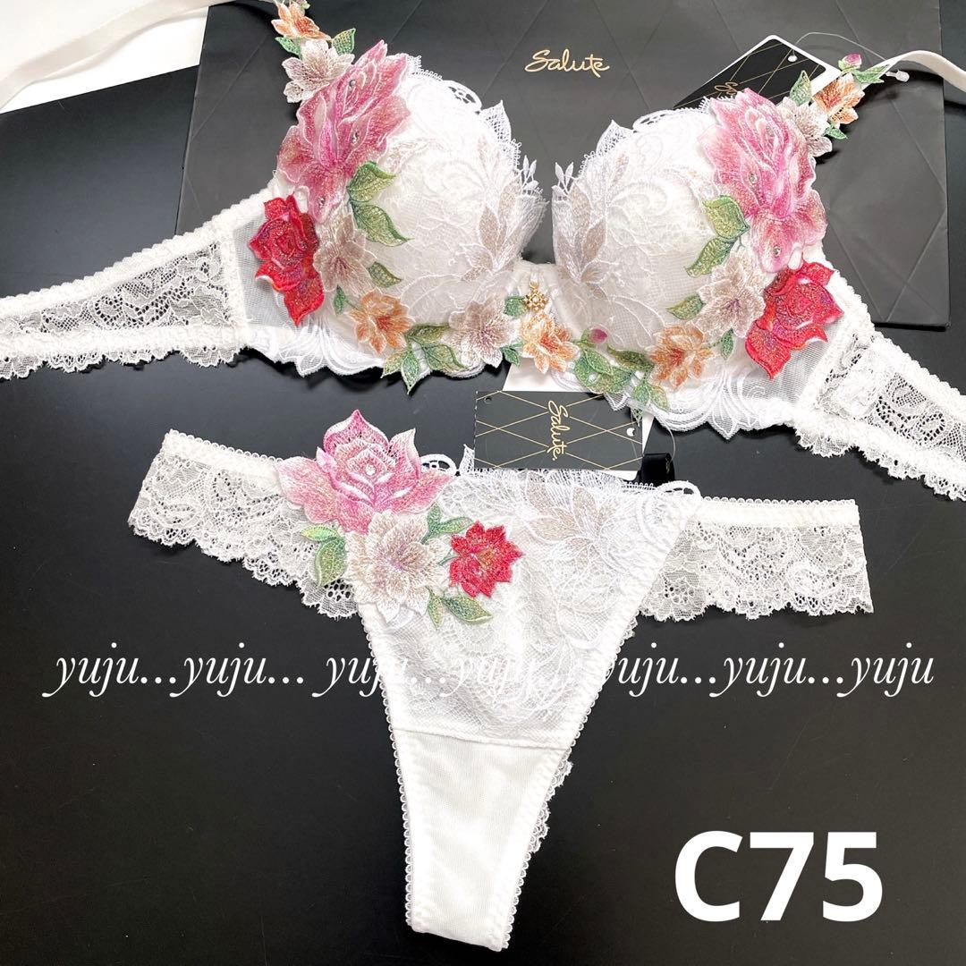 ワコール/サルート 09 店舗限定✨新品タグ付 P-upブラソングM C75