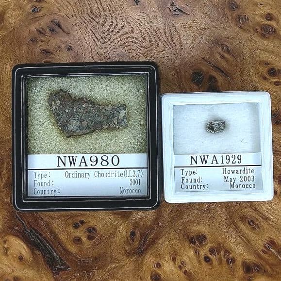 特選！NWA980隕石標本 + ホワルダイト NW1929 隕石　標本