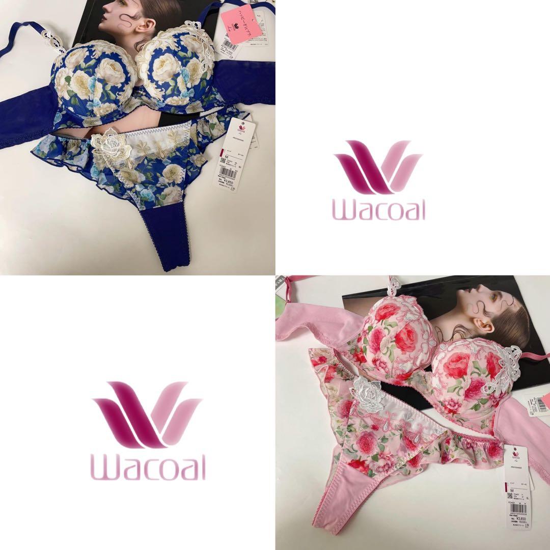 ワコール ルジェ ハッピーFitイギリスの宮殿 37gブラ&ソングセットE70