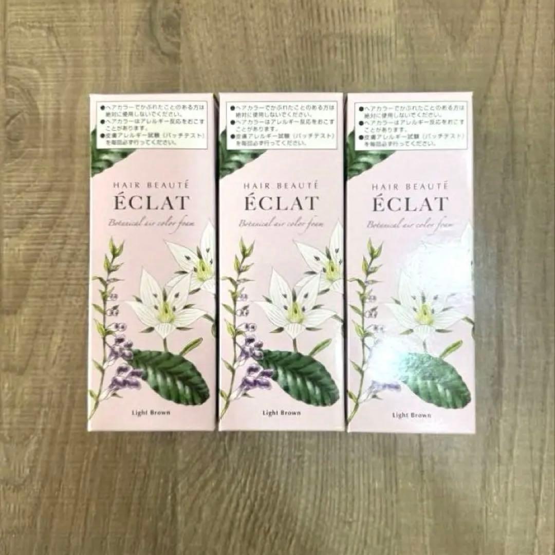 ヘアボーテ エクラ ボタニカル エアカラーフォーム ライトブラウン3本セット ヘアボーテエクラボタニカルエアカラーフォームup3本P付特別セット