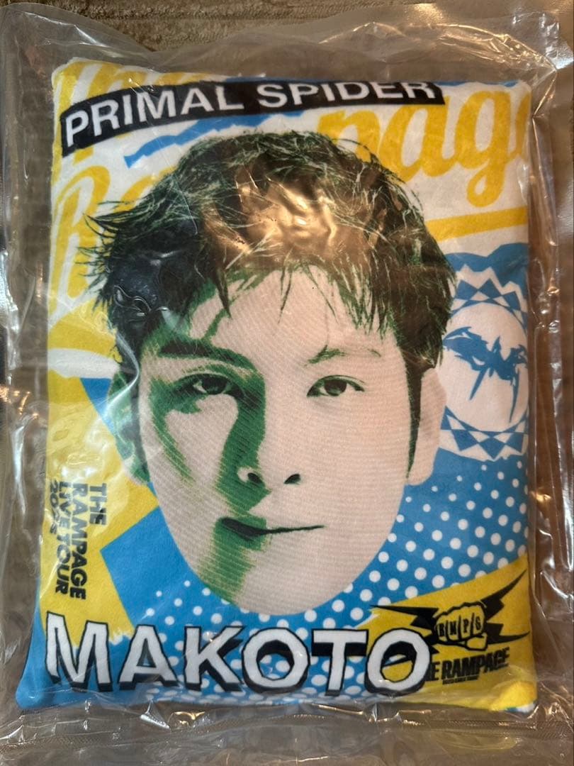 長谷川慎　クッション　巡らせる糸