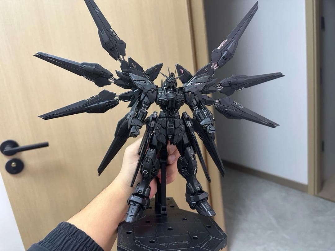 A*A様 1/100 ストライクフリーダム　ミッドナイトコーティング　海外製プラ