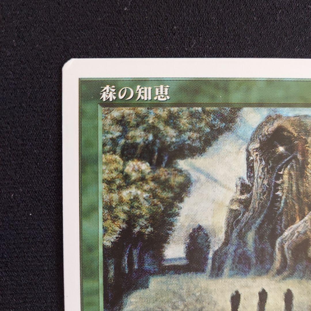 MTG 第5版 緑属性 エンチャント 日本語版 森の知恵 - メルカリ