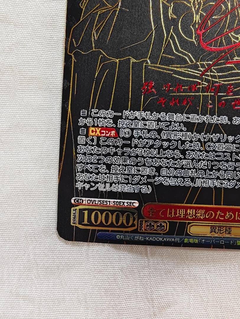 ヴァイスシュヴァルツ 劇場版オーバーロード 全ては理想郷のために