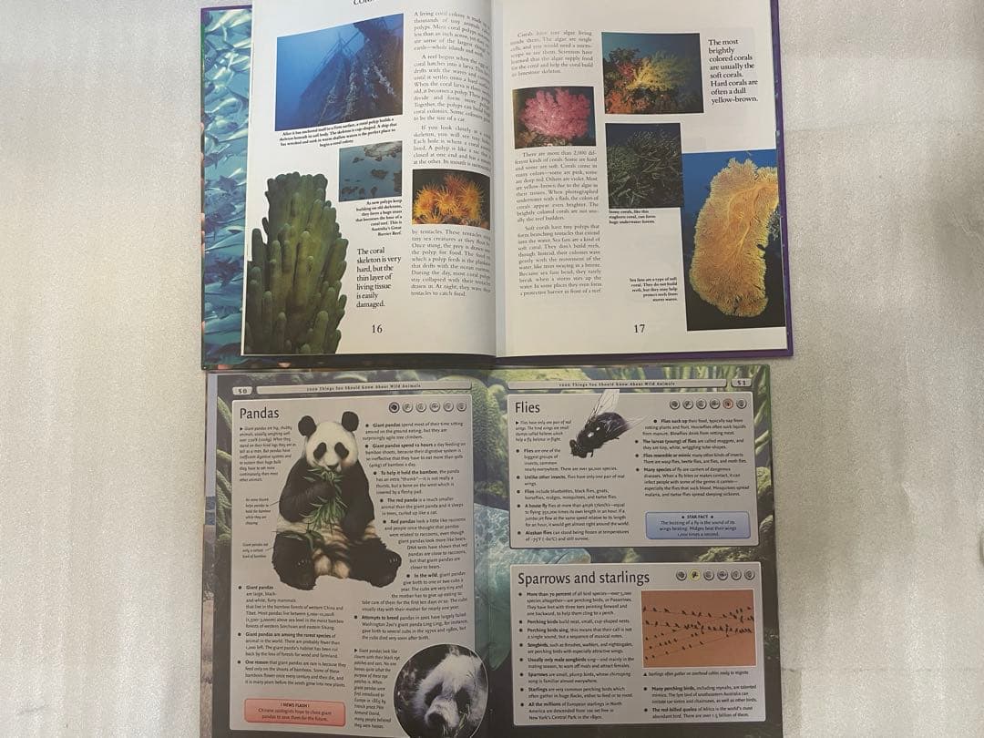 英語絵本・17冊】まとめ売り - メルカリ