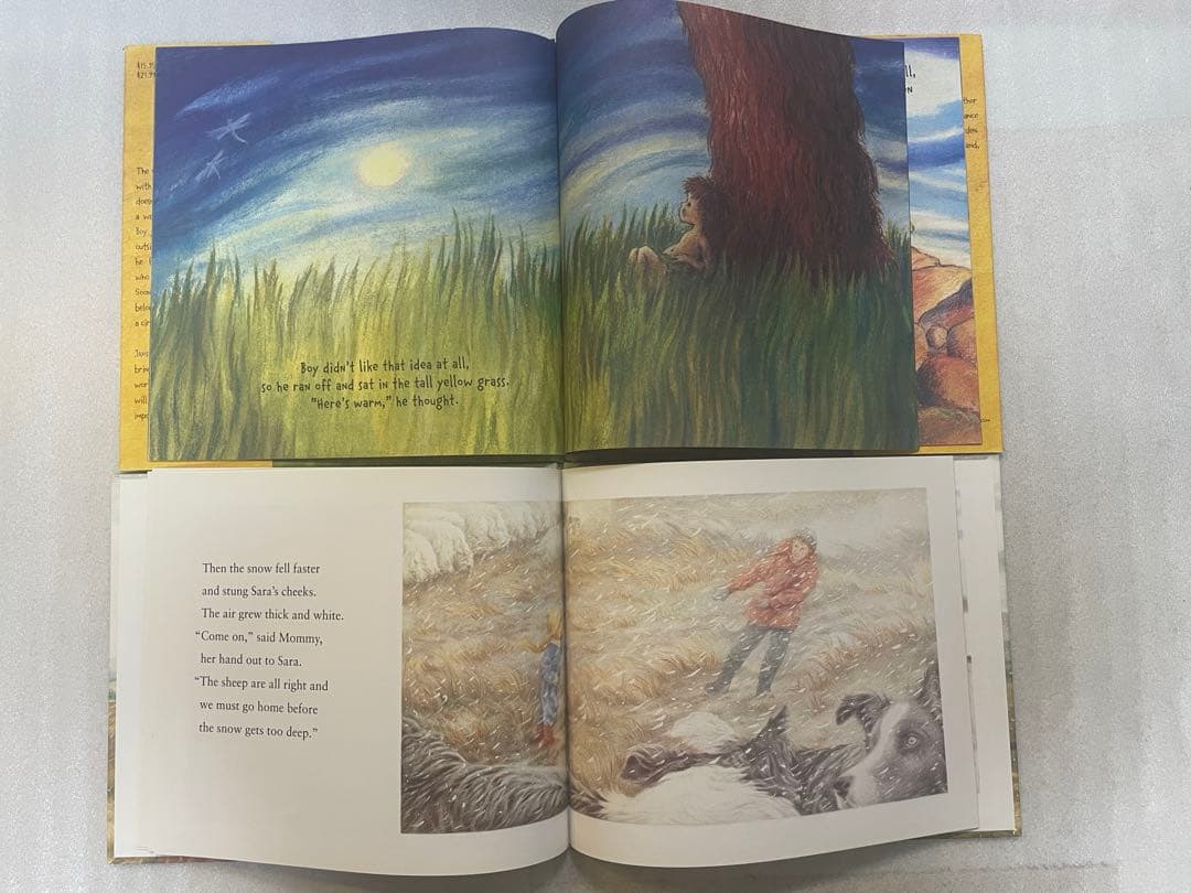 英語絵本・17冊】まとめ売り - メルカリ