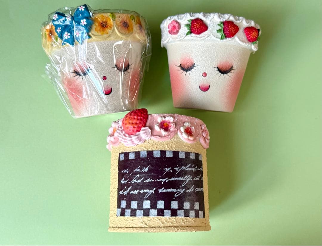 多肉植物用植木鉢 リメイク鉢 miyu 鉢 作家さんハンドメイド 初リメ鉢🙌からの多肉寄植え！！ | CAINZ DIY Square