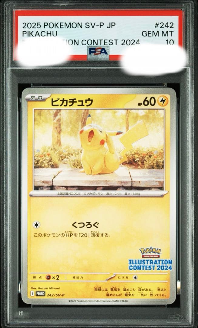 【PSA10】ピカチュウ　242/SV-P イラストレーションコンテスト2024 PSA 10 Pikachu 242/SV-P 2025 Illustration Contest 2024 Promo
