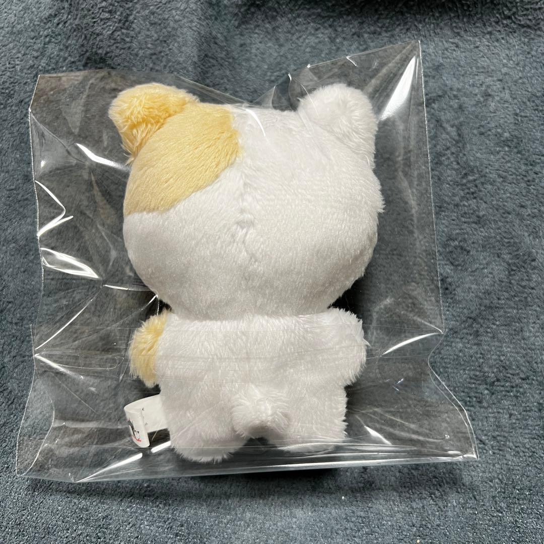 enhypen ヒスン ぬいぐるみ 10cm 新品 マスター - メルカリ