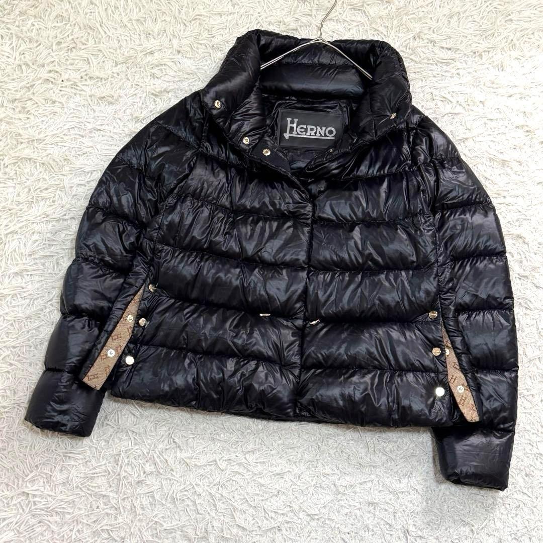 17530✨ヘルノ モノグラム ウルトラライトダウンジャケット 38 ブラック