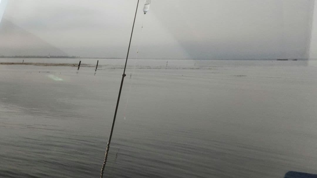 直筆サイン かなり希少 lisa inoue カラープリント写真 本物