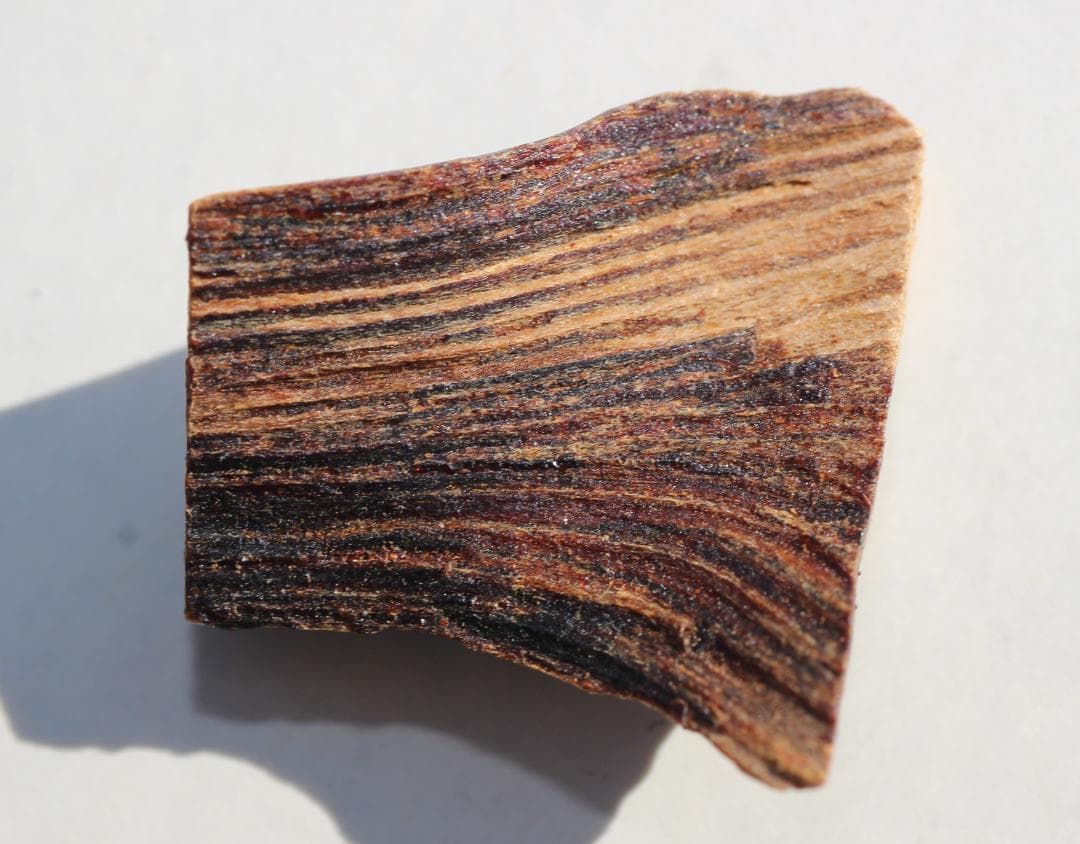 香木 古渡命銘木 「初音」約0.28g 沈香 伽羅 奇南 奇楠 お香 香道