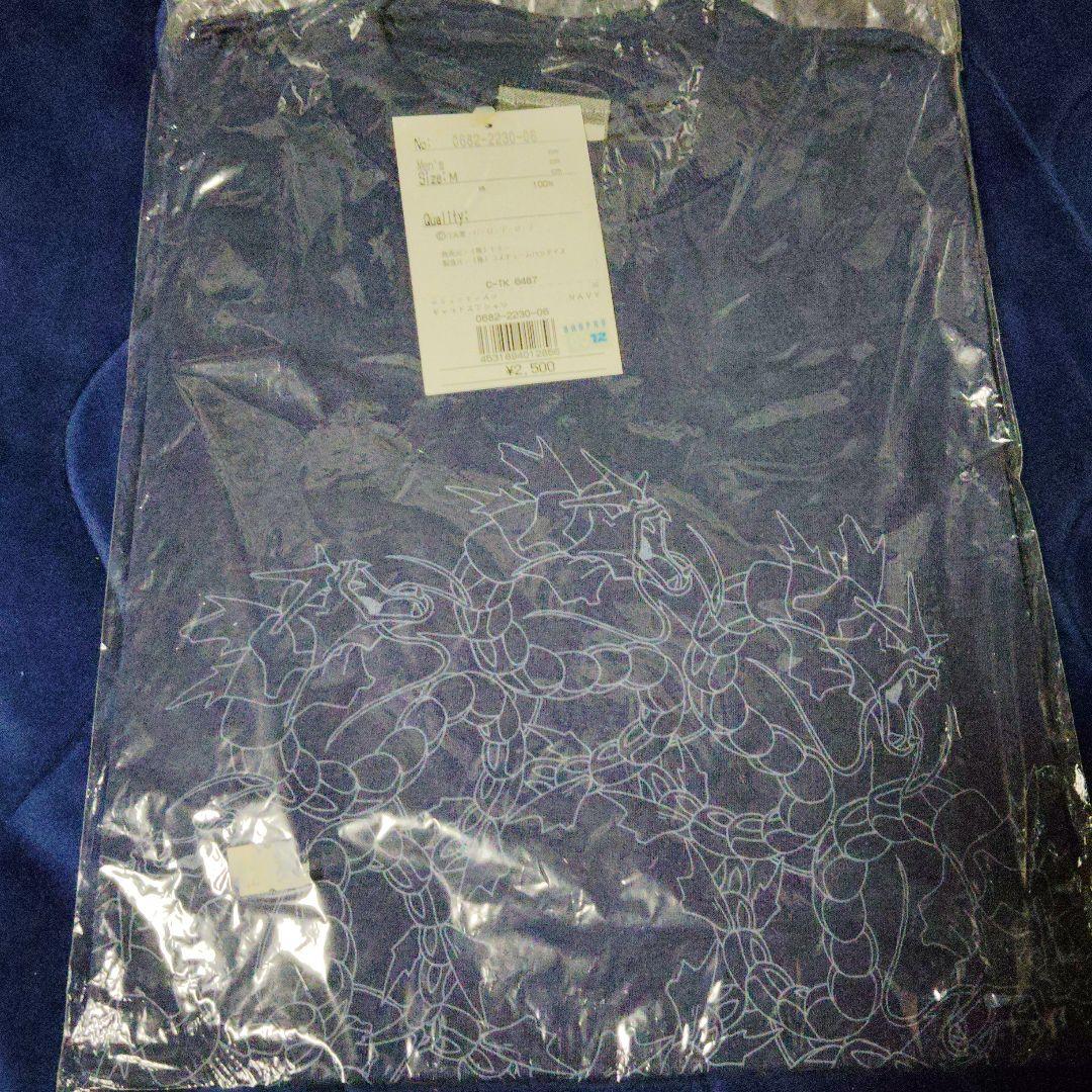 デットストック　ポケモン　ギャラドス 　Tシャツ ロングTシャツ POKÉMON NYORO NYORO FRIENDS ギャラドスのたきのぼり