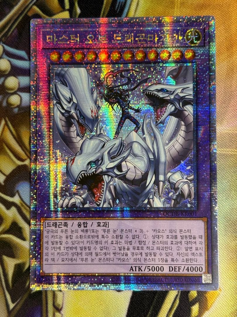 遊戯王　究極竜魔導師　マスターオブドラゴンマギア　25th 韓国　アジア