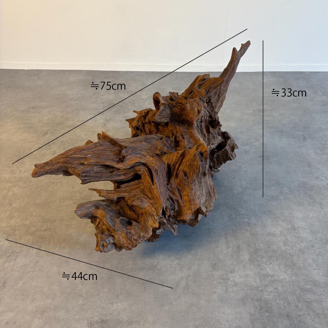 御神木　アート　インテリア　生花　オブジェ