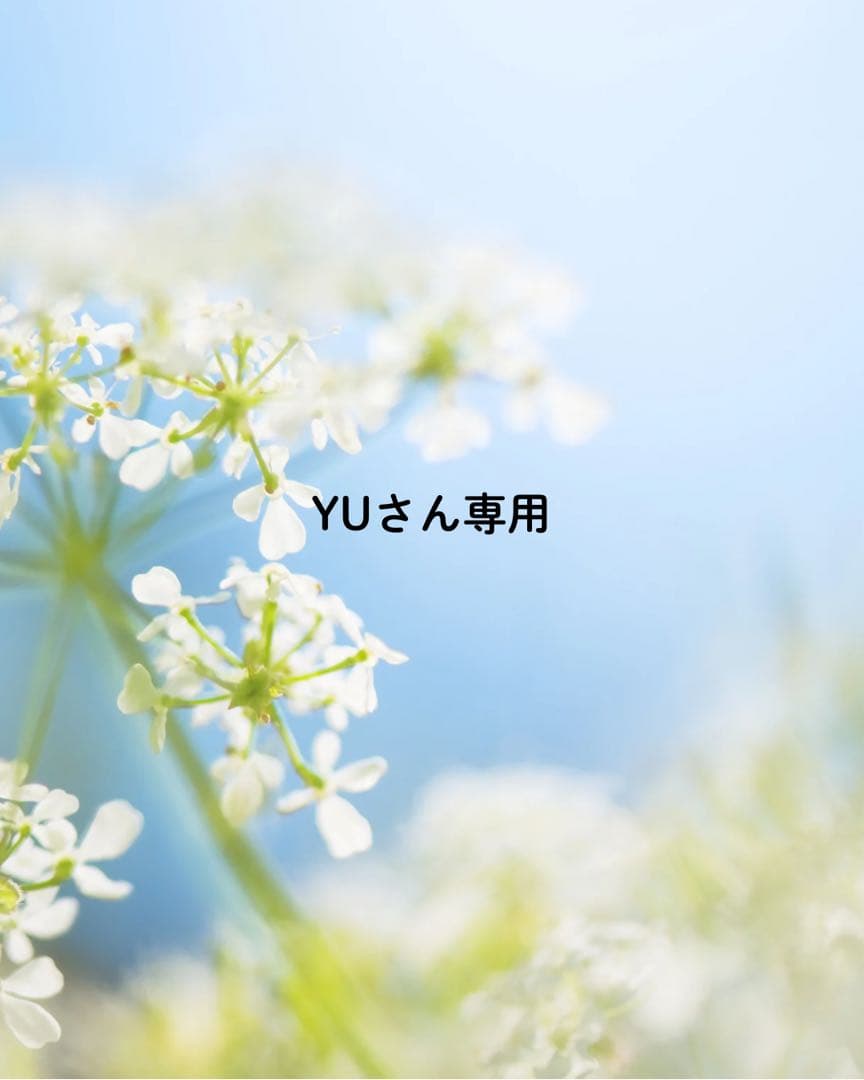 YUさん専用 全自動散薬分包機Single-R93Ⅲ - YUYAMA : YUYAMA