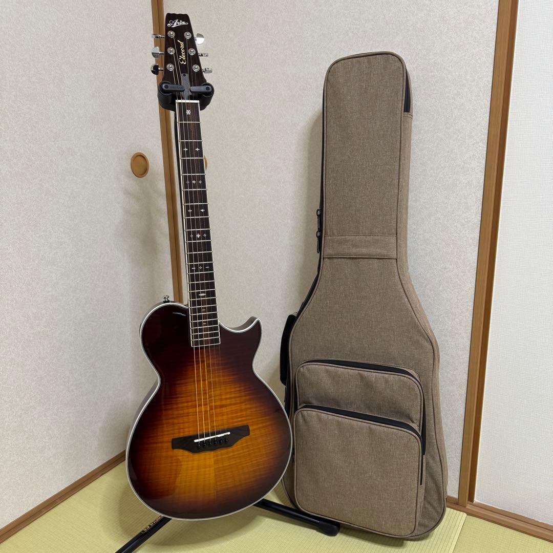 Aria Pro II APE-100 TS エレアコ ロック式ペグ交換済