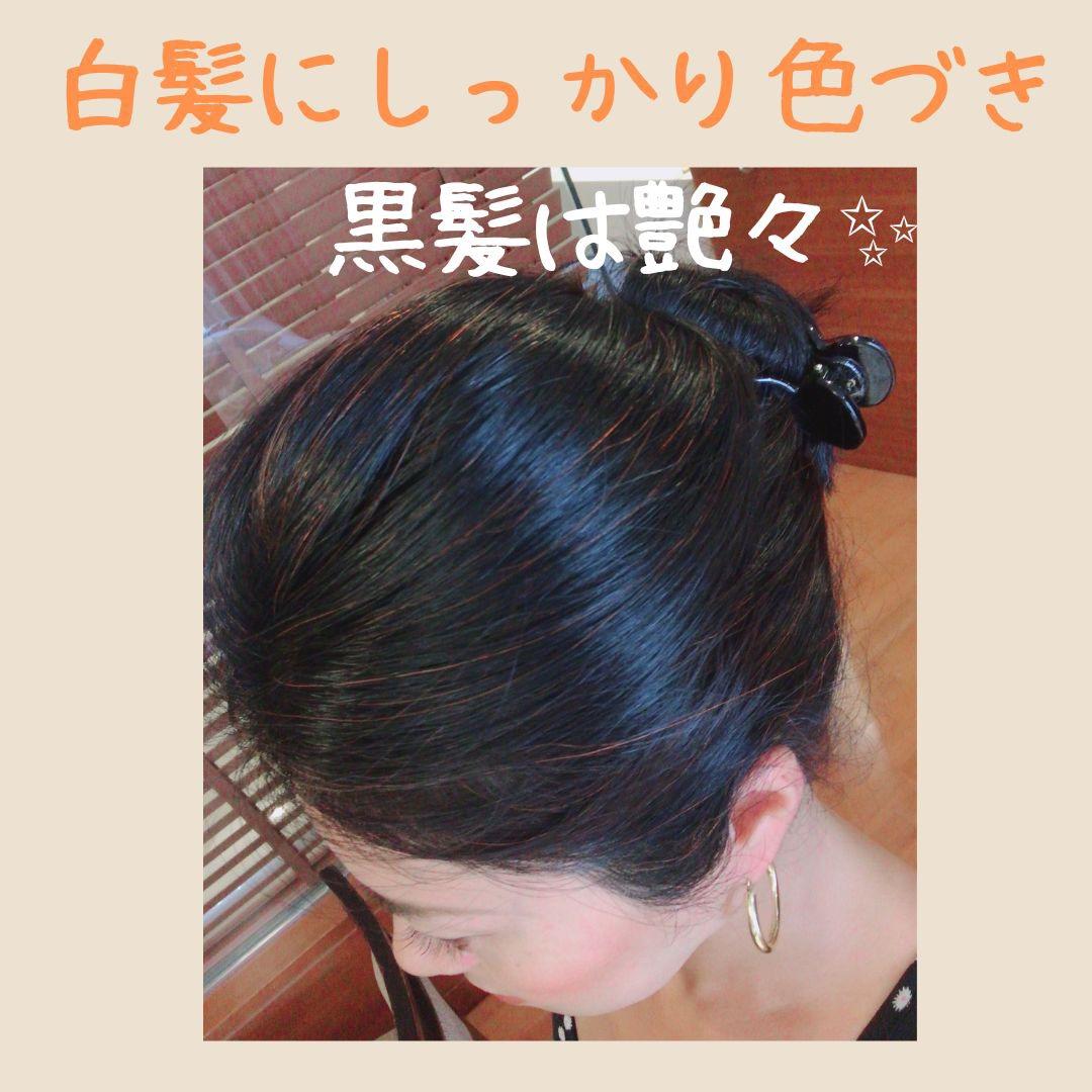 よりどり3点選べる【最高AAAランク高品質ヘナ】選べて嬉しい♪ヘナ