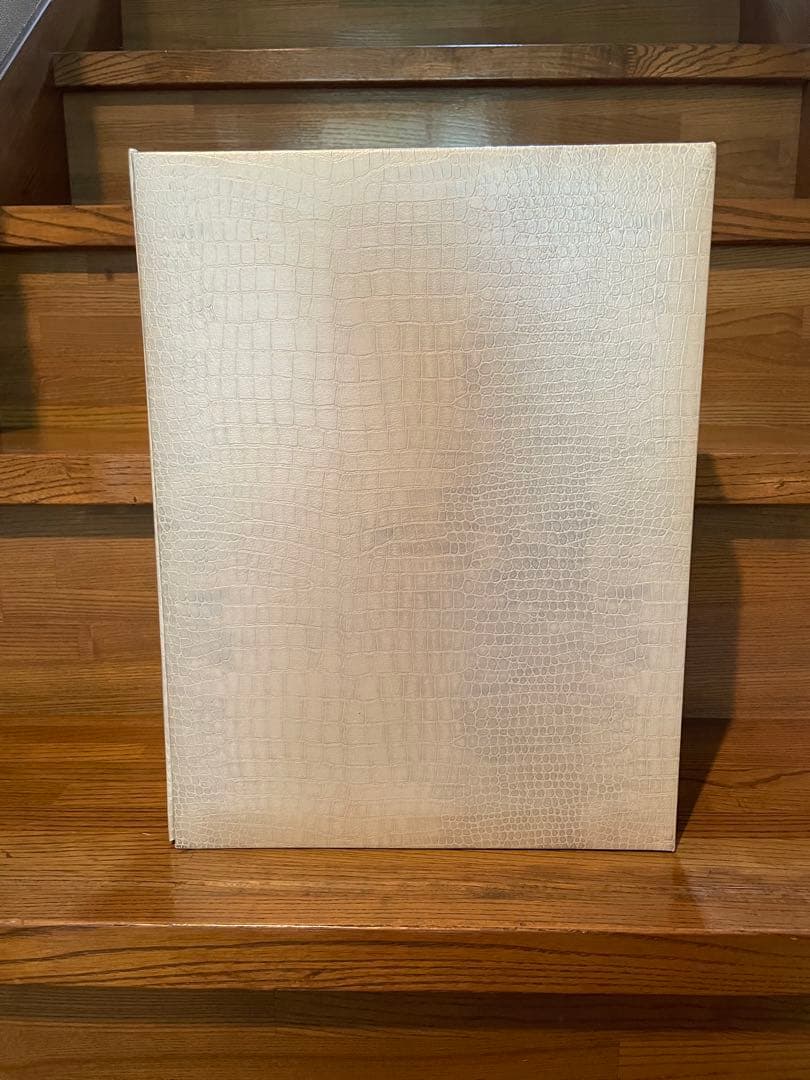 チャン・グンソク 20周年記念 フィギュア - メルカリ