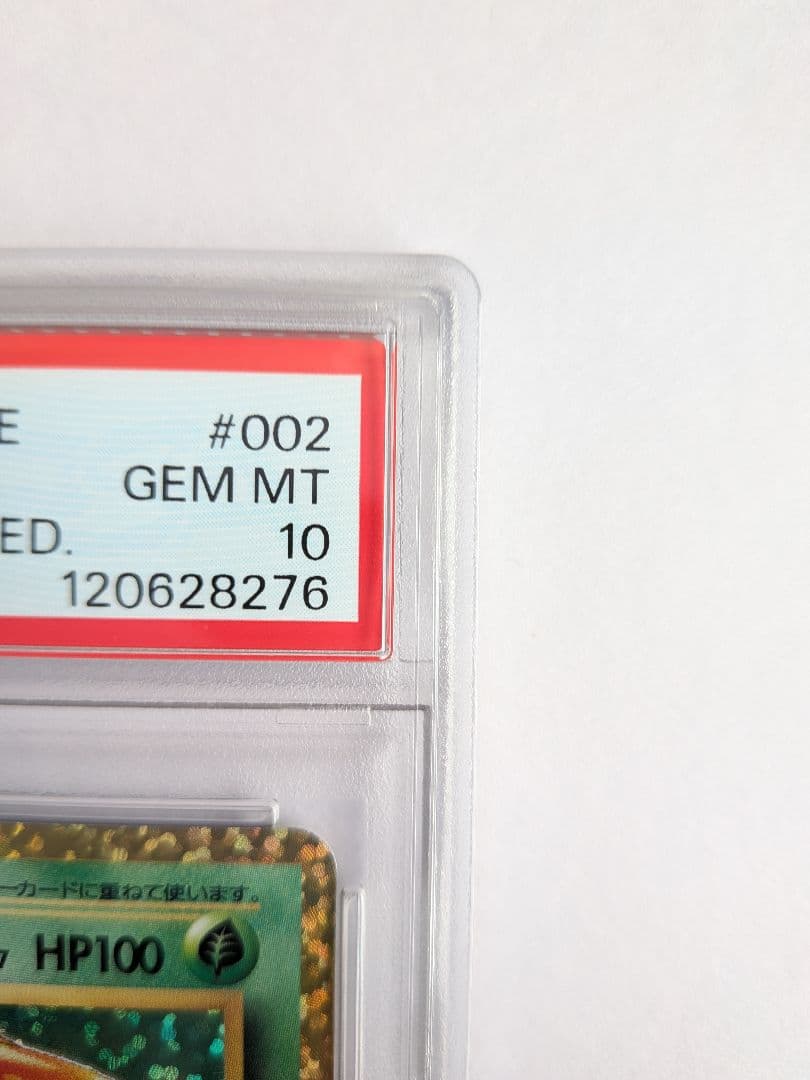 桐谷園　PSA10　フシギバナ25周年　おまけ17枚