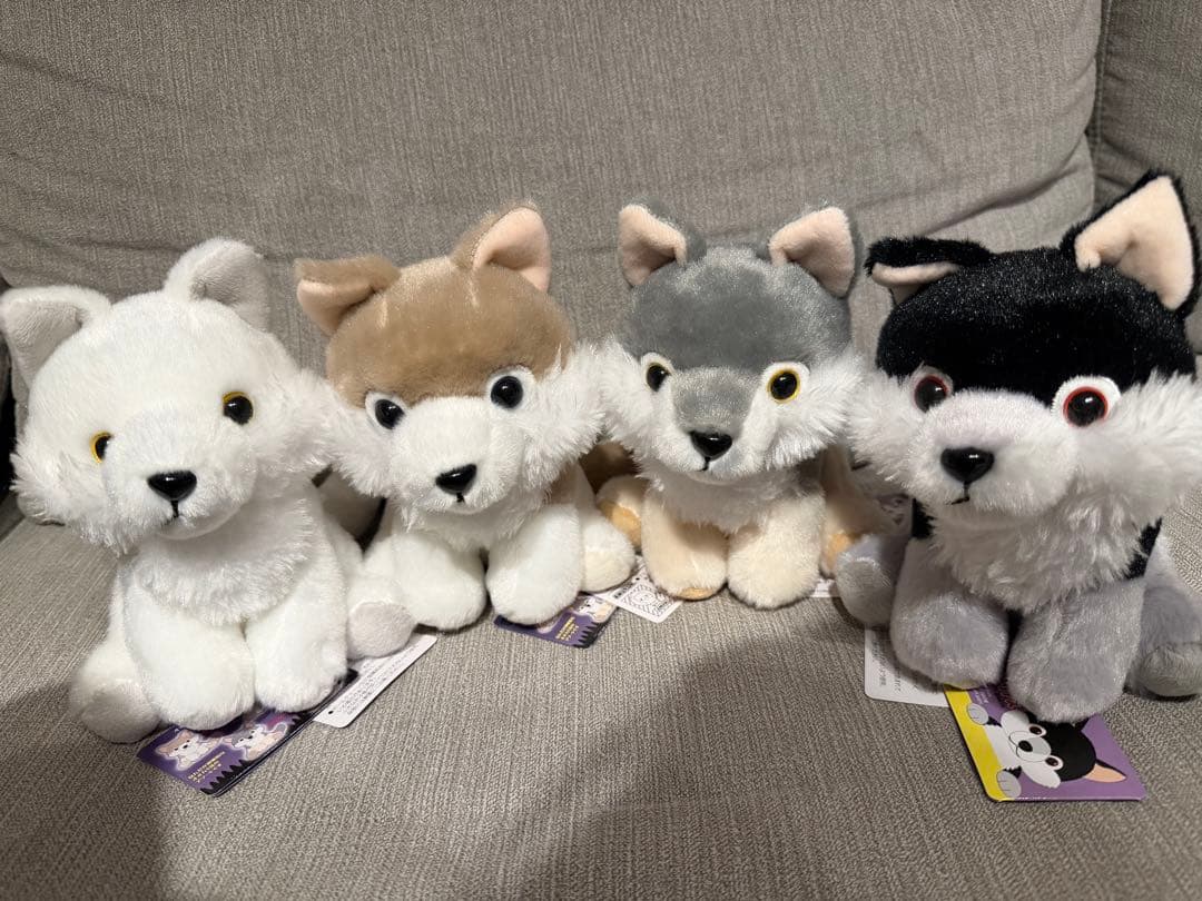【新品】【4匹コンプリート】もふっとオオカミミステリアス　ぬいぐるみ　アミューズ ≪6月の新商品≫もふっとオオカミごきげん☆アミューズプライズ-NEW