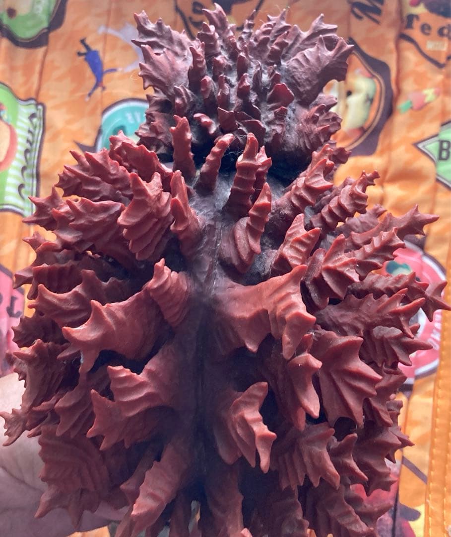 RAH ガラモン 「ウルトラQ」 リアルアクションヒーローズ No.340展示品