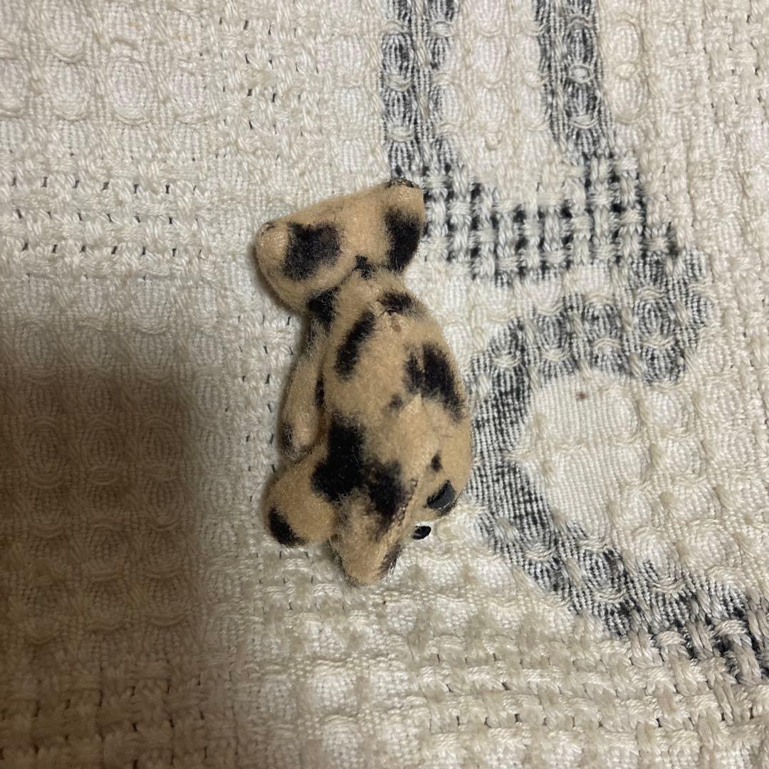 CAT,CAT,CAT! マリーメゾンドミュー 猫 ぬいぐるみ 5コセット - メルカリ