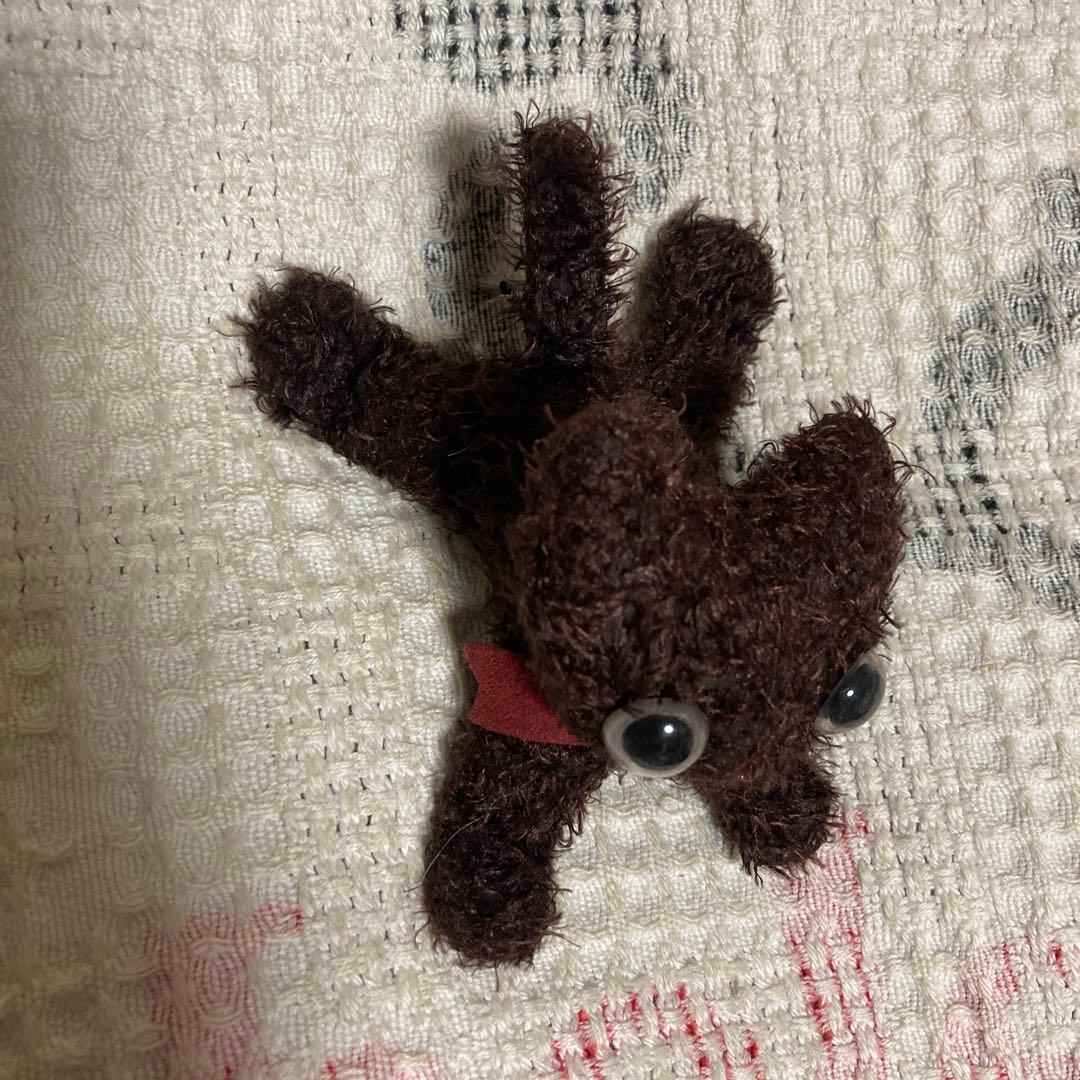 CAT,CAT,CAT! マリーメゾンドミュー 猫 ぬいぐるみ 5コセット - メルカリ