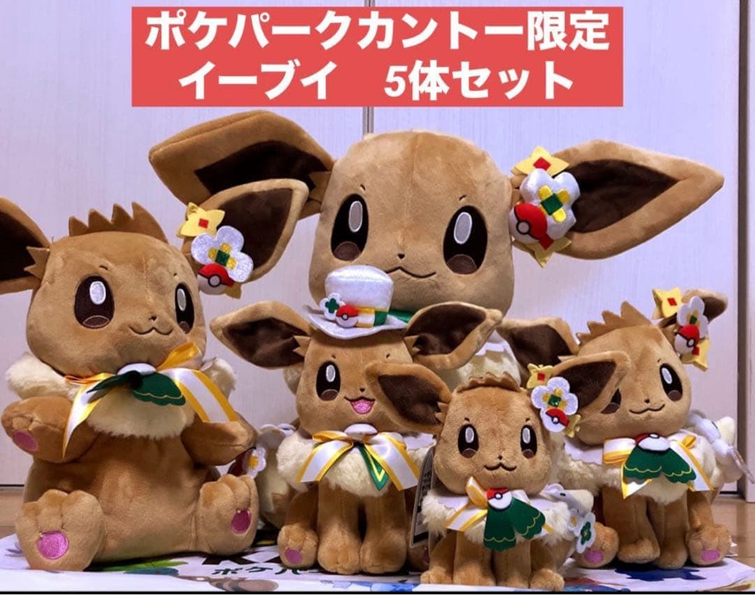 新品 ポケパークカントー ショップ 限定 イーブイ ぬいぐるみ5体セット