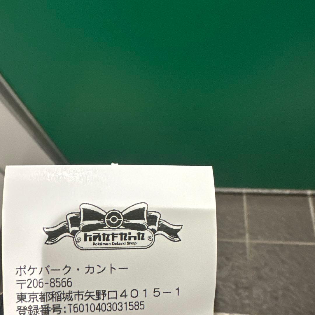 新品 ポケパークカントー ショップ 限定 イーブイ ぬいぐるみ5体セット